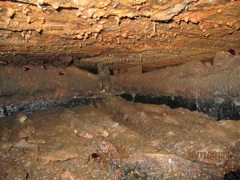 寬坪美墅-中壢抽水肥(中壢抽水肥，平鎮抽水肥，專業找化糞池，楊梅洗水塔，大園通水管，平鎮通馬桶)