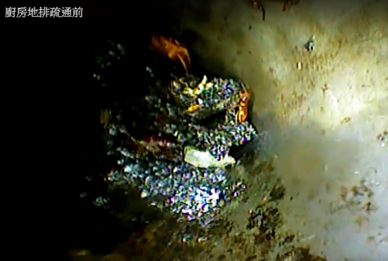 福羚路 廚房地排攝影