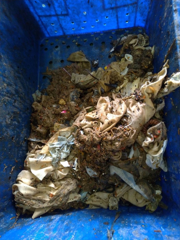 【請愛護自家的糞坑，它才不會變成您的錢坑喔】