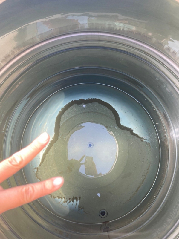 【價錢透明+歡迎詢問】大園洗水塔、大園抽水肥、大園通馬桶、大園找化糞池、大園通水管