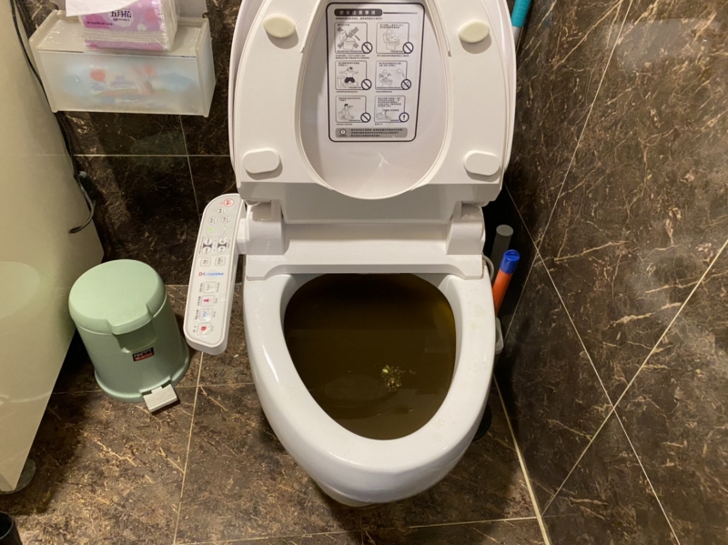 【網路熱門商家】龍潭通馬桶、龍潭抽水肥、龍潭找化糞池、龍潭修理化糞池、龍潭洗水塔、龍潭通水管、龍潭管內攝影、龍潭馬桶攝影