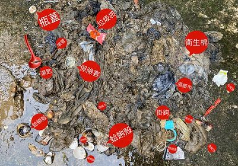 《優質業者》中壢抽水肥、平鎮抽水肥、龍潭抽水肥、楊梅抽水肥、新屋抽水肥、觀音抽水肥、桃園抽水肥、龜山抽水肥、八德抽水肥、大溪抽水肥、大園抽水肥、蘆竹抽水肥、多沅衛生0800776767